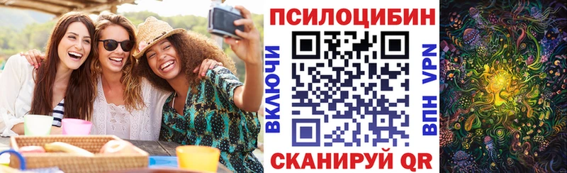 Купить  Бирюсинск  Галлюциногенные грибы Cubensis 